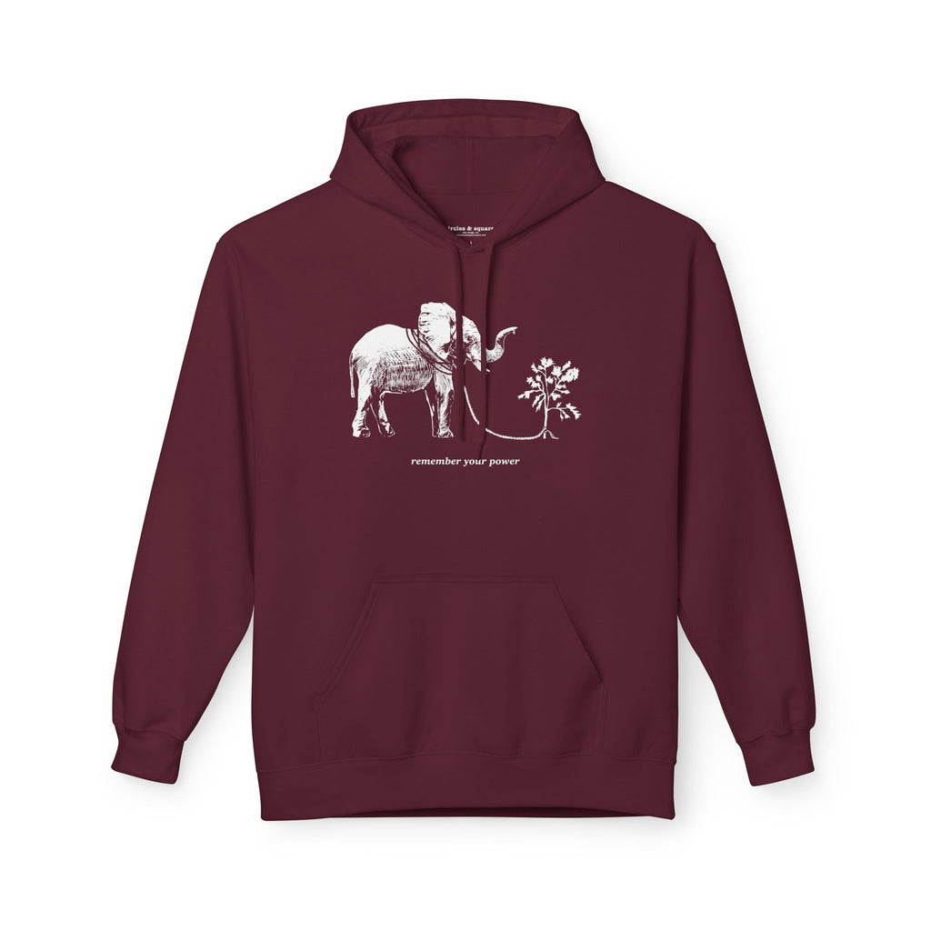 REMEMBER YOUR POWER - Unisex Fleece Hoodie - FREE SHIPPING