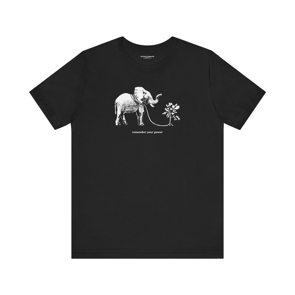 REMEMBER YOUR POWER - unisex / men's tee