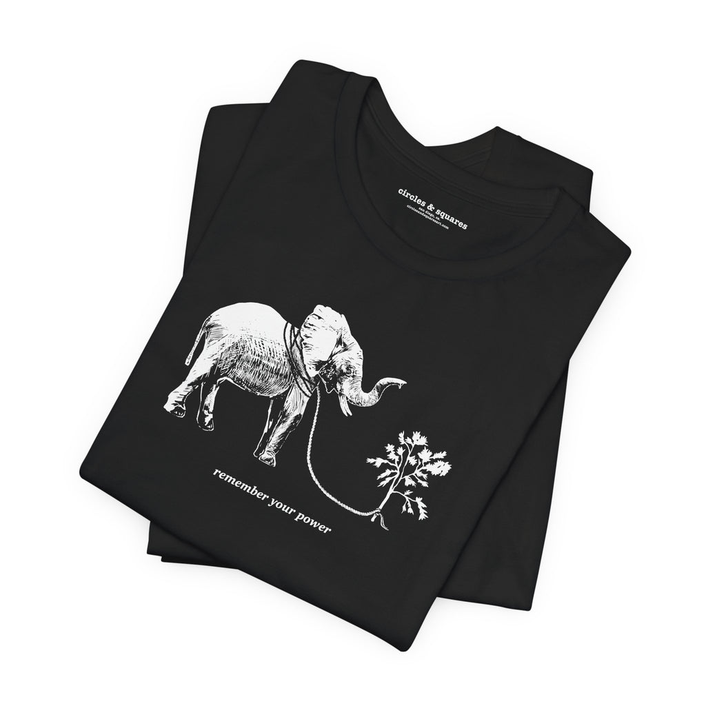 REMEMBER YOUR POWER - unisex / men's tee