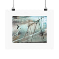 JUMP - boy - poster - 3 sizes