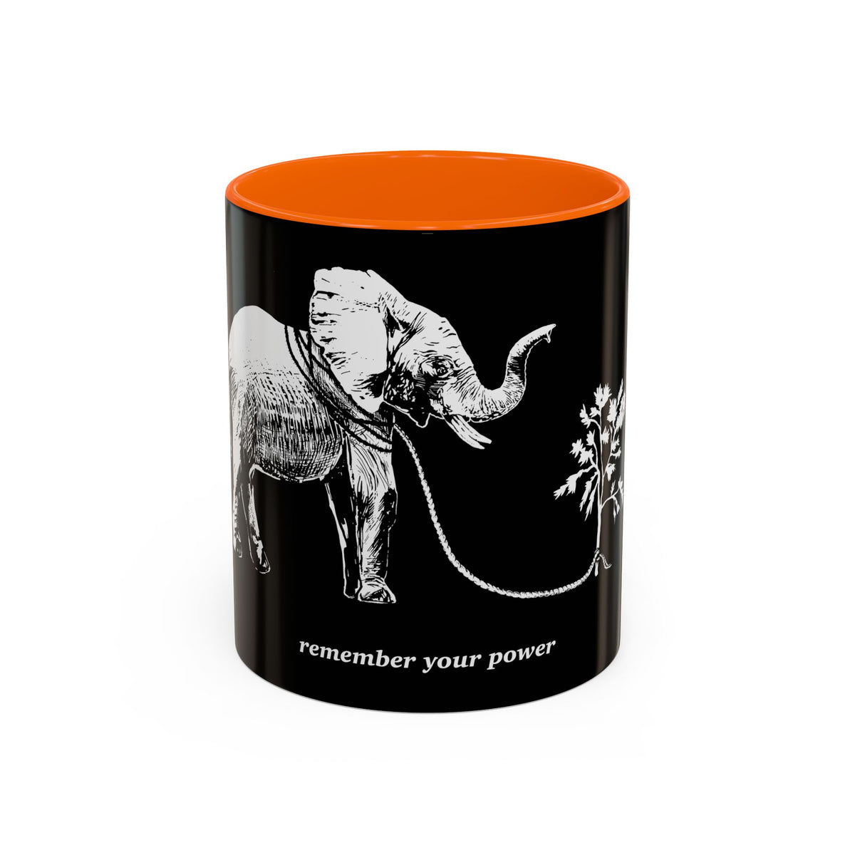 REMEMBER YOUR POWER - Accent Coffee Mug (11 oz)
