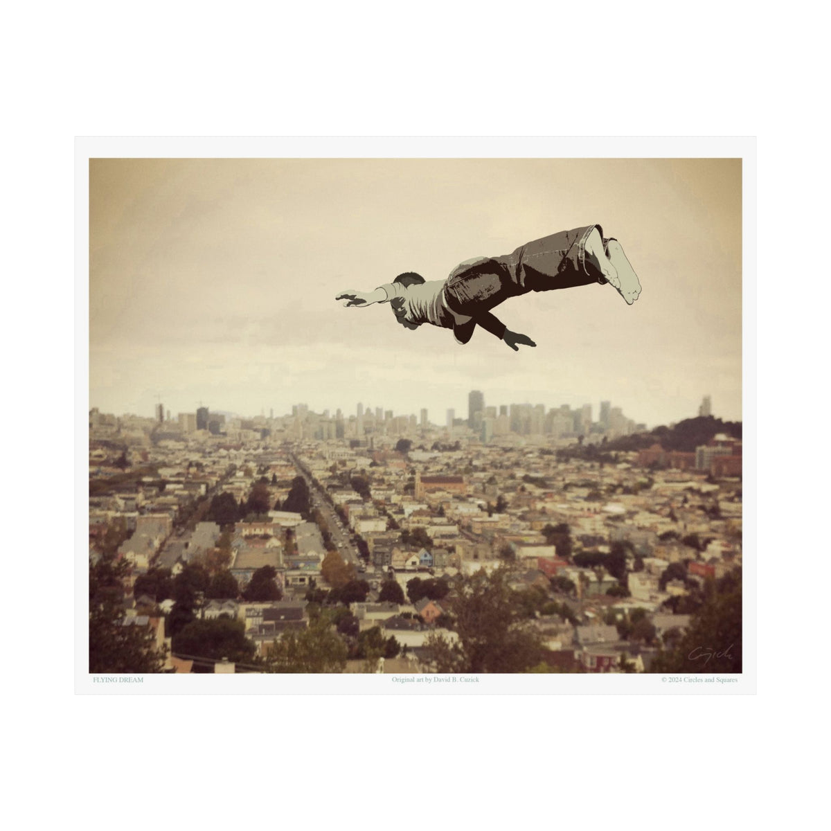 FLYING DREAM - poster - 3 sizes
