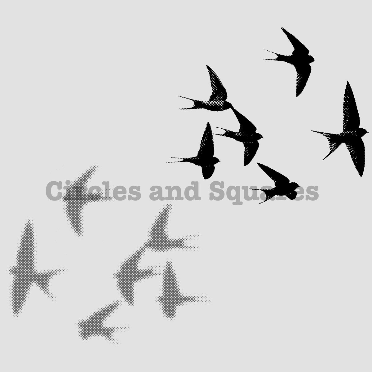 SHADOWS - unisex tee for men and women