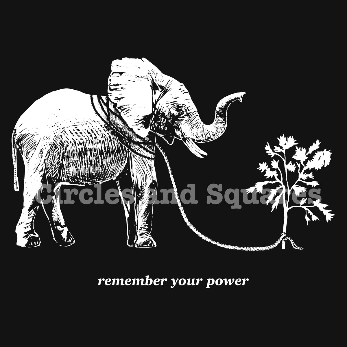 REMEMBER YOUR POWER - unisex / men's tee