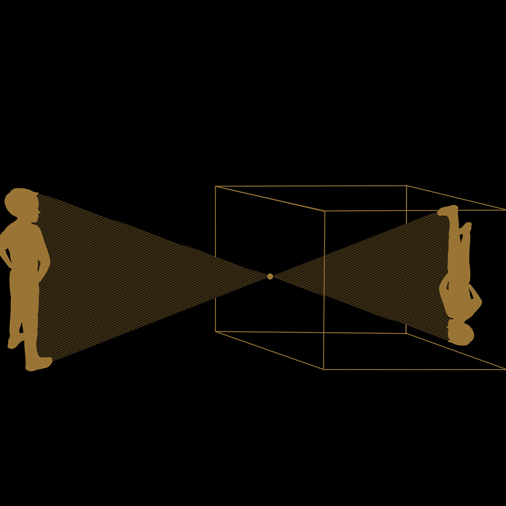 CAMERA OBSCURA_black and gold - poster - 3 sizes
