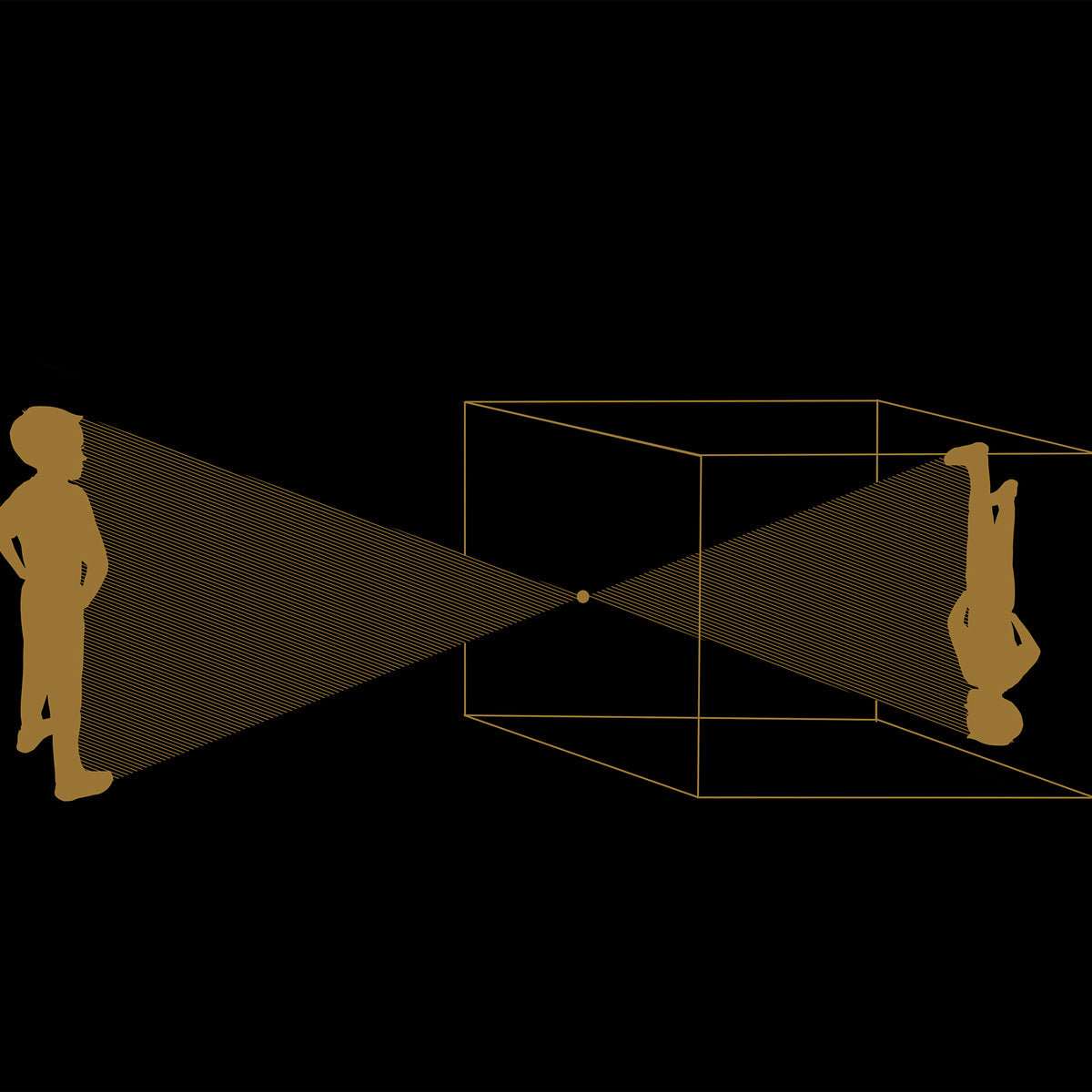 CAMERA OBSCURA_black and gold - poster - 3 sizes