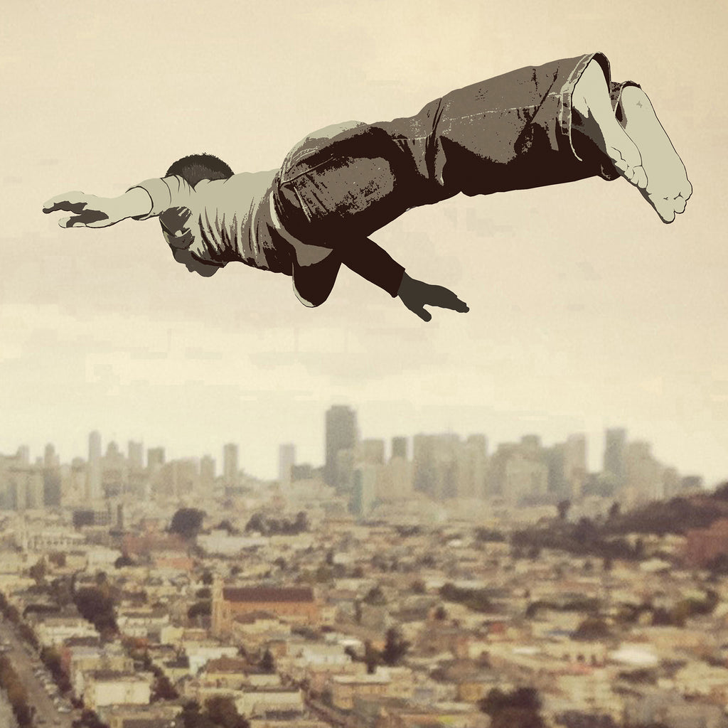 FLYING DREAM - poster - 3 sizes