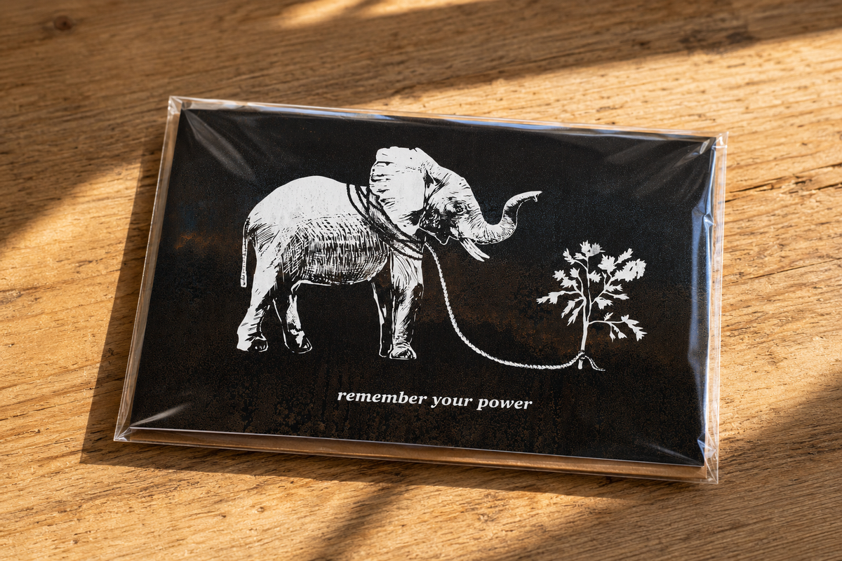 REMEMBER YOUR POWER - greeting card with envelope - single and multi pack. Free shipping