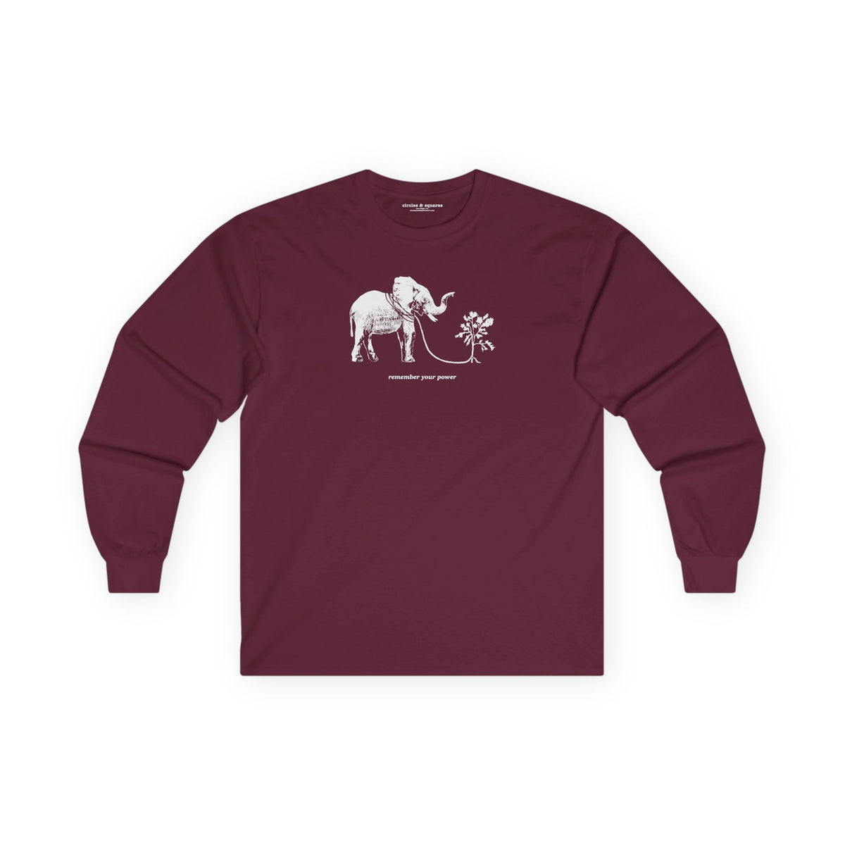 REMEMBER YOUR POWER - long sleeve unisex tee for men and women