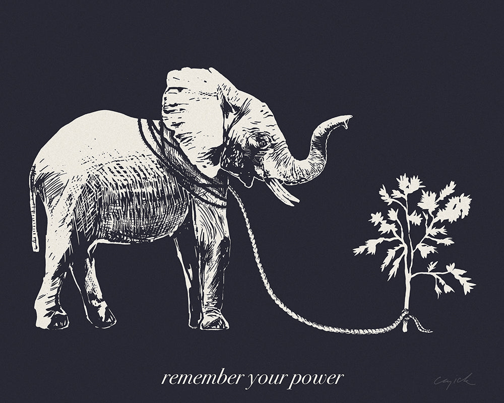 REMEMBER YOUR POWER - Canvas Print - 2 sizes - FREE SHIPPING
