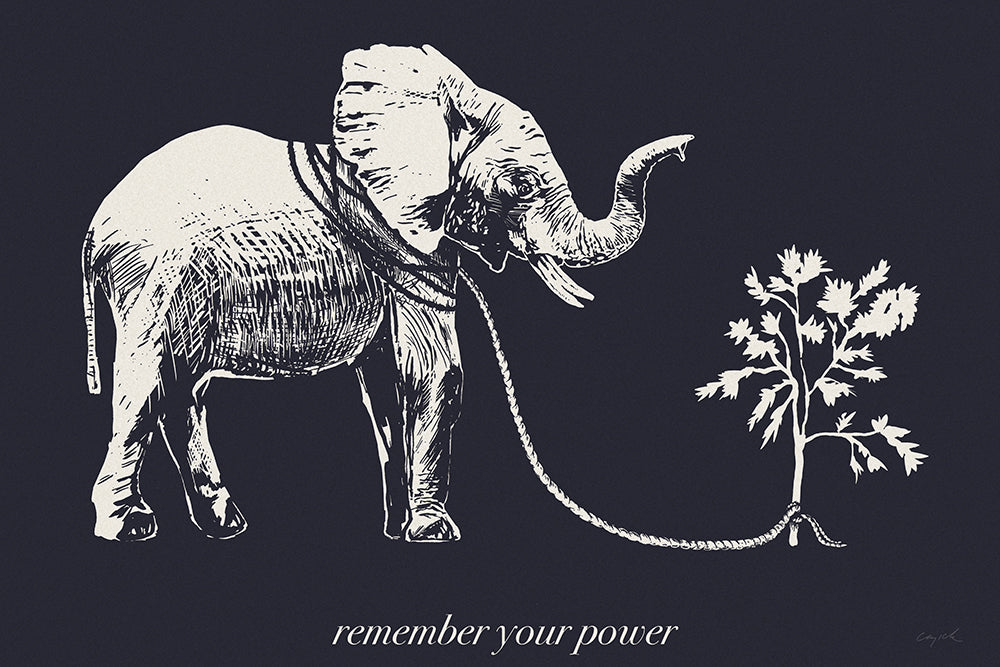 REMEMBER YOUR POWER - Canvas Print - 2 sizes - FREE SHIPPING