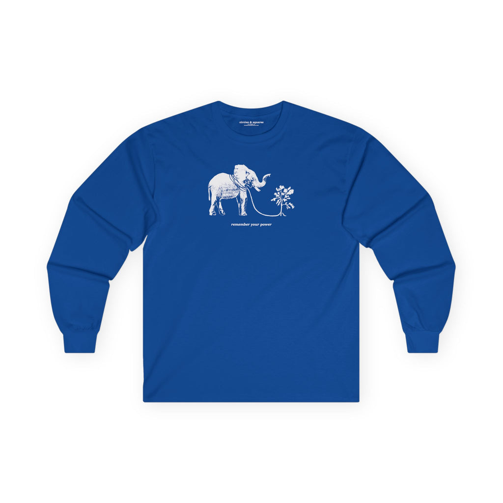 REMEMBER YOUR POWER - long sleeve unisex tee for men and women