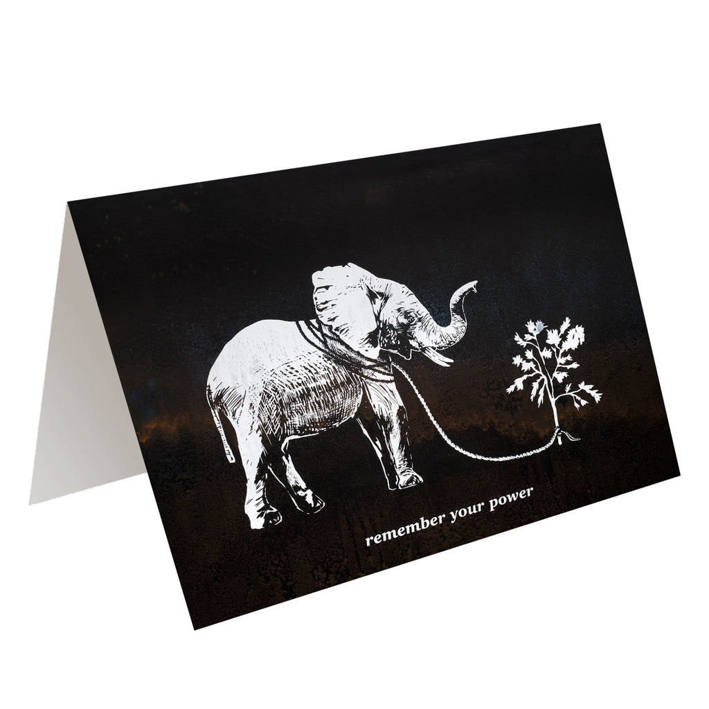 REMEMBER YOUR POWER - greeting card with envelope - single and multi pack. Free shipping