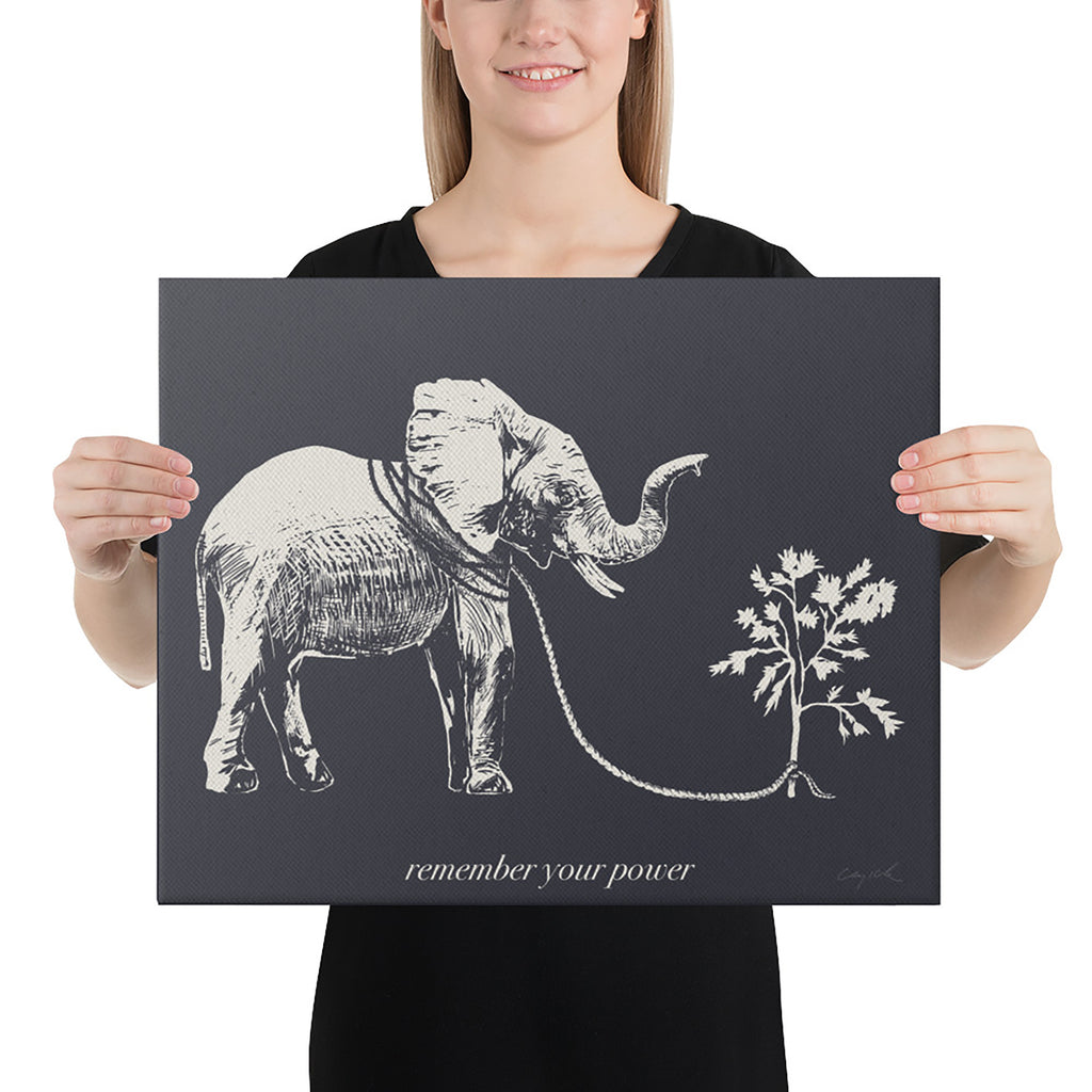 Remember Your Power 16x20 canvas