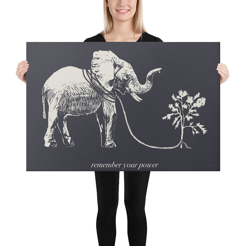 Remember Your Power 24x36 canvas